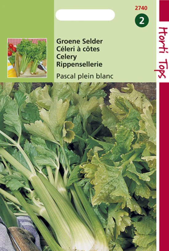 Celery Pascal (Apium) 2000 seeds